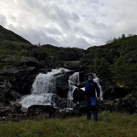 Gullesfjord Camping Экстерьер фото